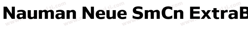 Nauman Neue SmCn ExtraBold字体转换